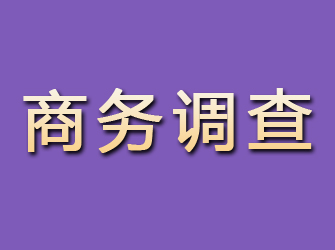 林芝商务调查